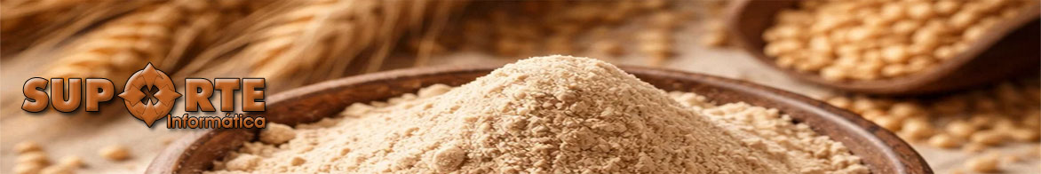 Suporte Informática